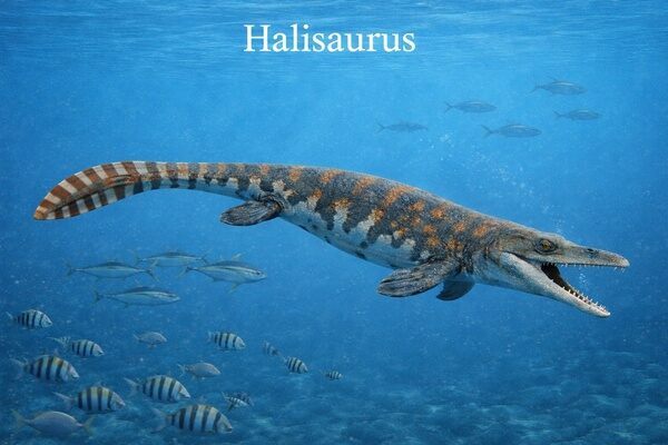 =Halisaurus glides through the Late Cretaceous seas, its streamlined body and powerful tail propelling it past schools of fish in a sunlit prehistoric ocean.